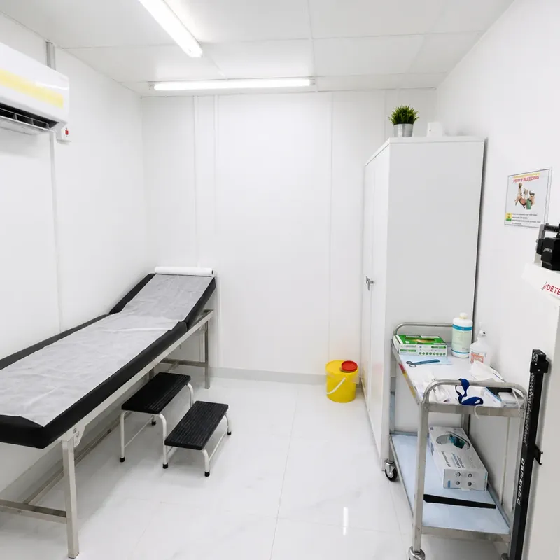On-Site Healthcare, Close at Hand
