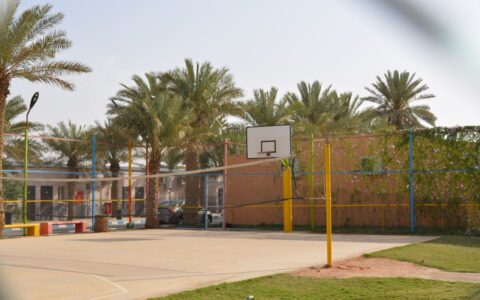 Basket Ball Field